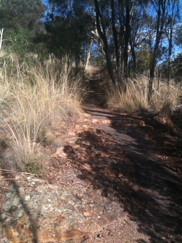 Lower section of pathway