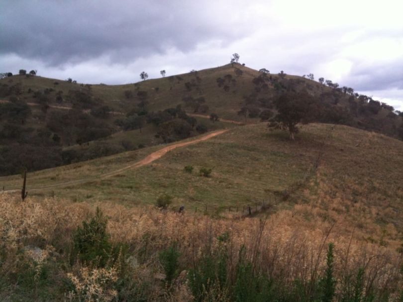 Lower sections of the path