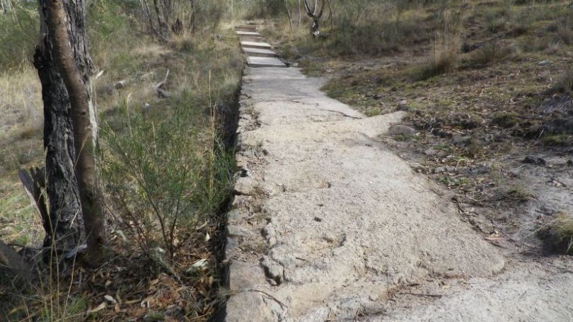 Concrete section of path