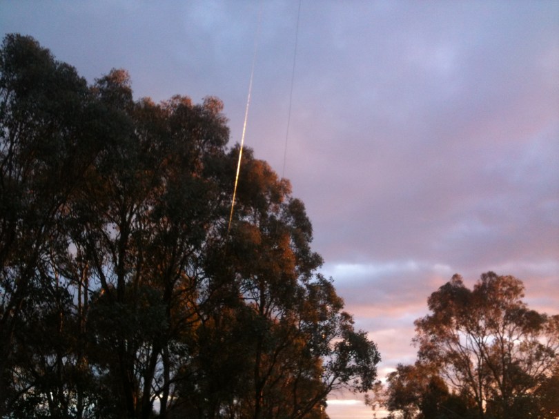 antenna wires