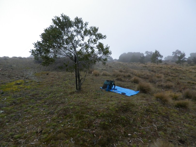 Operating position with antenna partly erected
