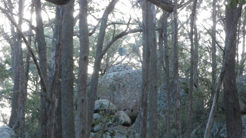 Rock, cairn and Trig at South Black Range