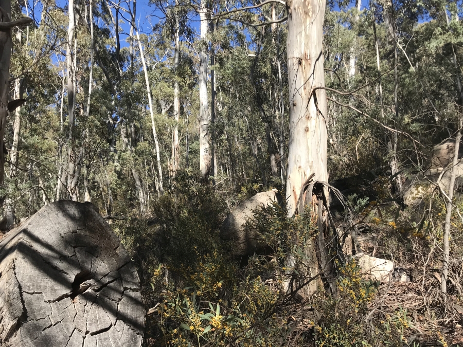 Booroomba Rocks VK1/AC-026 on 16/11/2019 | VK1DA.blog